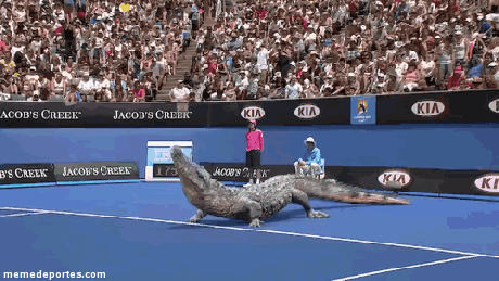 ¡Tenis del Bueno!