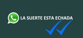 Eliminar-el-doble-check-azul-de-WhatsApp-facil